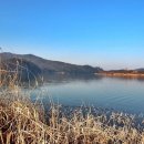 남한강낚시 이미지