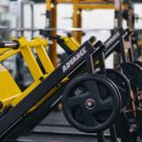 아인스 휘트니스 이미지