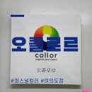 주식회사 실버온 | [여의도] 오콜로르 여의도점 퍼스널컬러 진단 후기｜겨울쿨다크