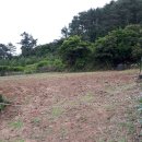 삼양축구장 이미지