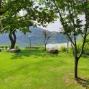 달그리고강 이미지