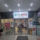 세종 권약국 이미지