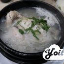 송도 궁중삼계탕 티스토리