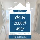 연제구-087 이미지