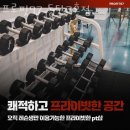 프로핏97 이미지