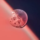 레보필의원 이미지