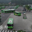 [서울시] 시내버스 차량 공동구매 추진 이미지
