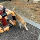 세교엘리트치과의원 이미지