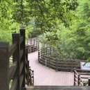 고복자연공원 갈대습지원 | 세종 가볼만한곳 고복자연공원 데크둘레길 고복저수지 보며 산책