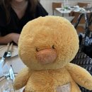 데얼이즈부산 이미지