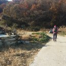 부귀면수항보건진료소 Daum카페