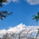 기지제수변공원 이미지