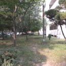 영동공인중개사사무소 네이버블로그