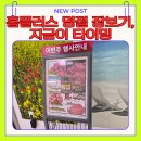 홈플러스 안중점 이미지