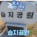 수도환경 | 창원 습지공원 및 환경수도공원 산책 후기, 아이랑 함께 걷기 좋은 도심 속 자연 쉼터, 창원 아이와 가...