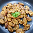 정동진 아구찜 이미지