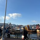 윈지마켓 이미지