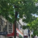 한인조합상가 이미지