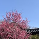 새로운 시작 3월🌸