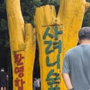 (주)KAL호텔네트워크 (서귀포KAL호텔) | # 제주도 여름휴가-2박3일