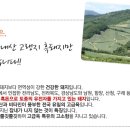 토담흑돈 네이버블로그