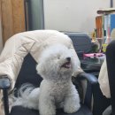 명륜신경정신과의원 이미지