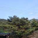 보령힐호텔 이미지