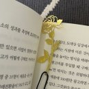 디자인 - 포항시 북구 양학로9번길 35 | 디자인