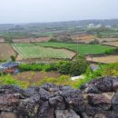 정온정형외과 의원 이미지