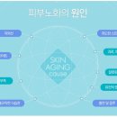 비타민피부과의원 이미지