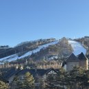 인터컨티넨탈알펜시아평창리조트 | [강원도/평창] 인터컨티넨탈 알펜시아 평창 리조트 | 강원도 호캉스 객실(스탠다드) 후기