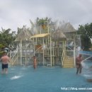 주강농장 | [하이난여행] 삥랑빌리지, 원숭이섬, 주강남전온천