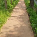 구정체육공원 이미지