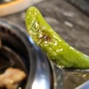 돼지짱