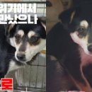 새벽 이미지