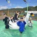 가평 태권도장 이미지