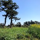 토산리마을회관 이미지