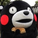 일루젼가든돌 이미지