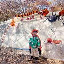 운문사계절캠핑장 이미지