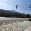 뉴금강공인중개사사무소 | 양산 어곡동 4차선 대로변 업종 제한없는 신축공장 매매가9억5천 대지 2백평 건평 105평 사무동포함...