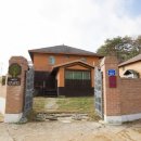 대관령로뎀나무 이미지