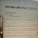 광양 옥룡사지 이미지