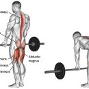 머슬앤핏 이미지