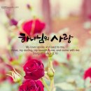 설레네 - 원주시 이화1길 50 | 설레네