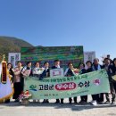 고성군 3 이미지