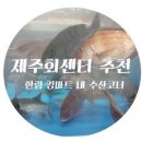 착한수산회센타 이미지