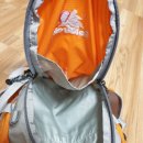 뉴 비너스 이미지