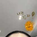 JOO 강아지미용실 | 정자역 헤어서보 미용실 추천! 붉은기 잡고 머릿결까지 만족했던 애쉬브라운 염색 찐후기