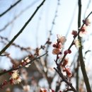 해파랑길 41코스 이미지