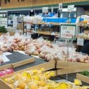 굿모닝유강의원 이미지